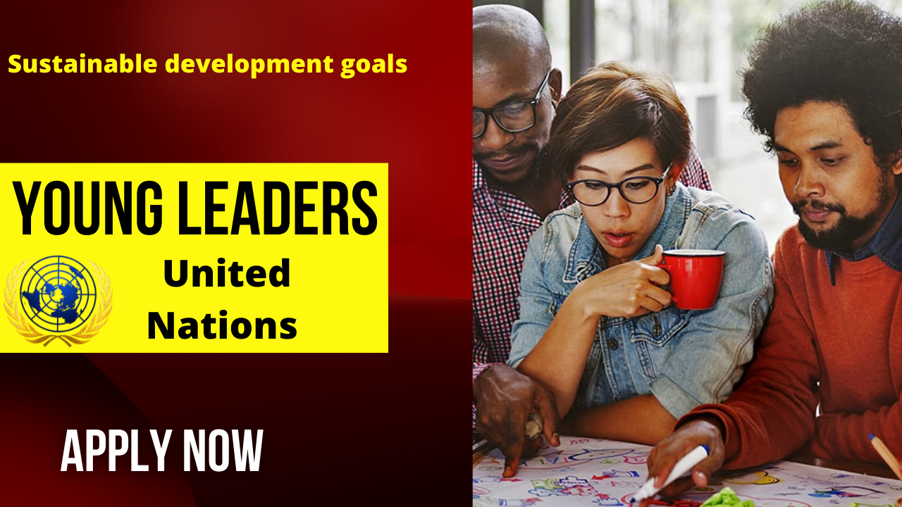 Become A Young Leader for the SDGs - the United Nations |apply -now