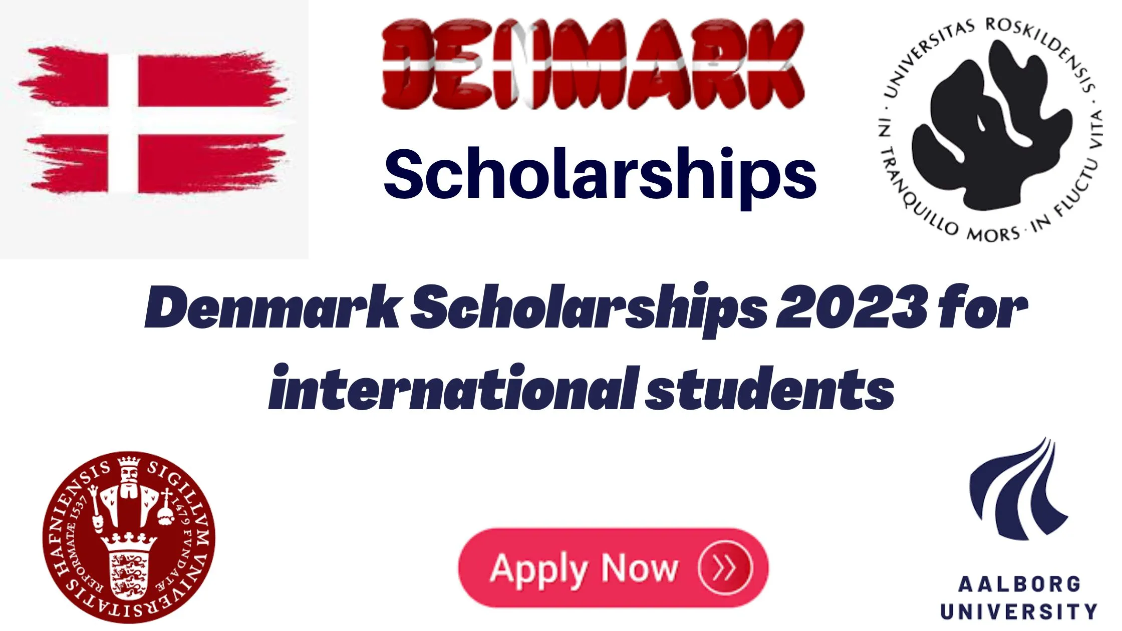 Denmark Scholarships 2023 For International Students|Study in Denmark