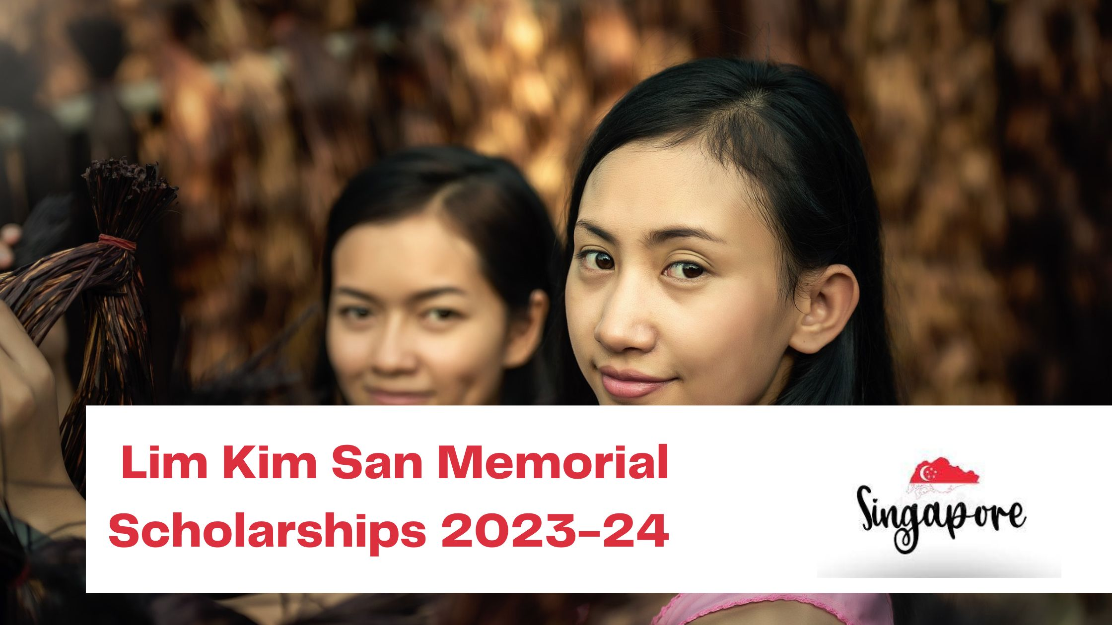 Lim Kim San Memorial Scholarships 2023-24