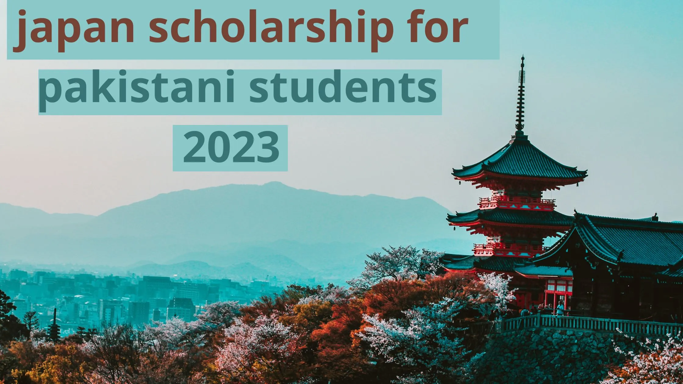 japan scholarship for pakistani students 2023