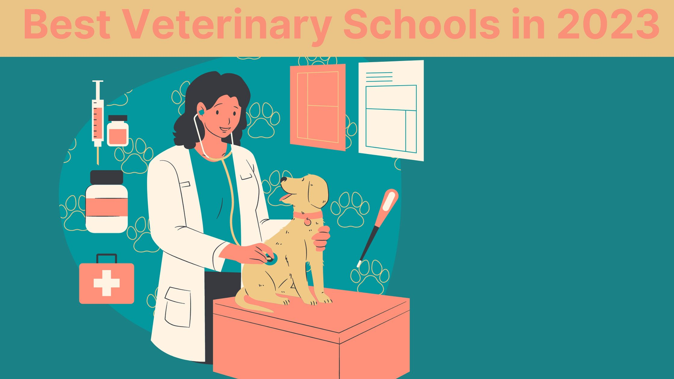 Best Veterinary Schools in 2023