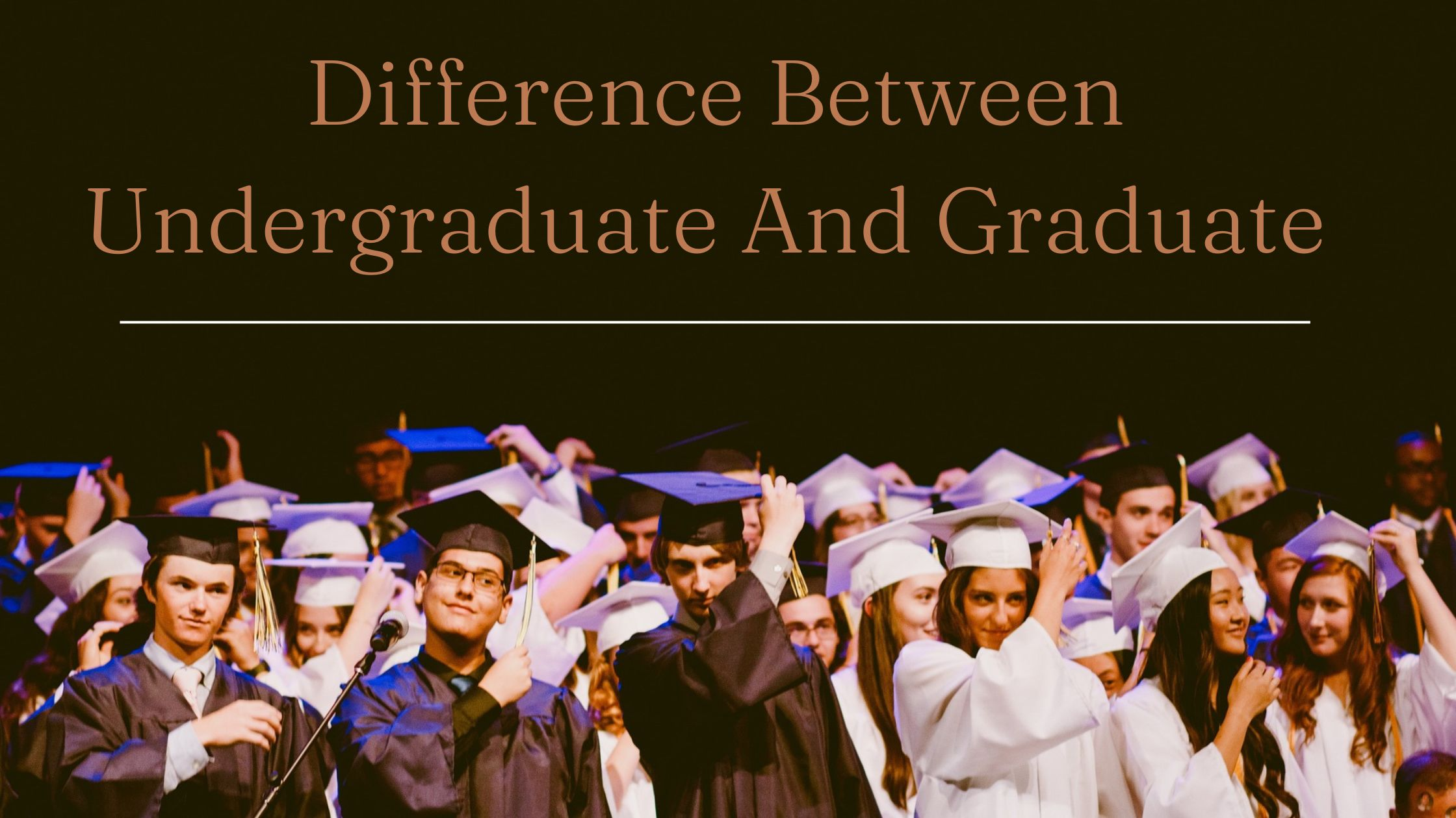 Difference Between Undergraduate, Graduate