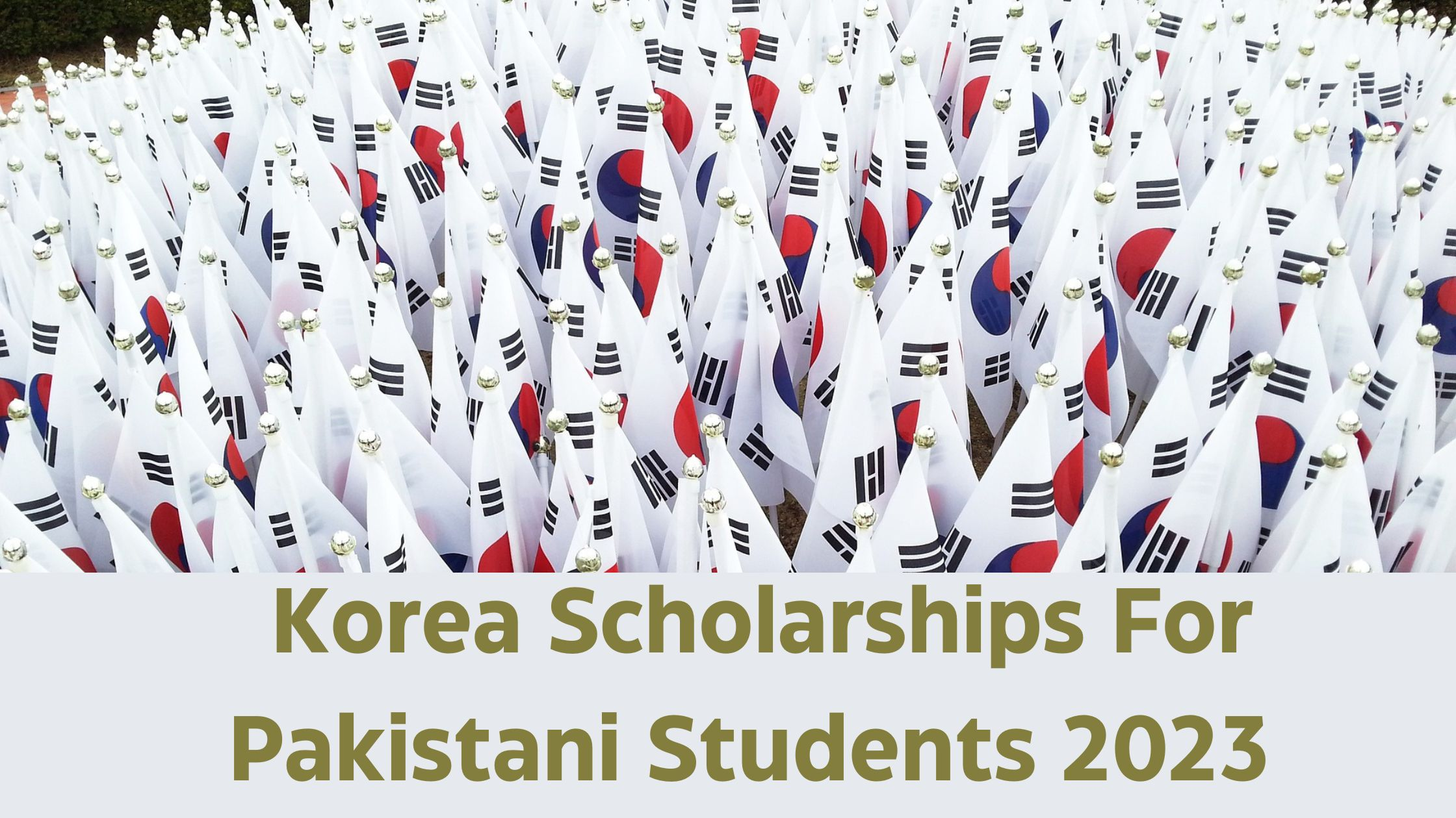 Korea Scholarships For Pakistani Students 2023